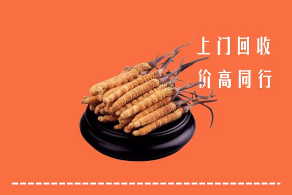 高价求购：乌审旗回收散虫草